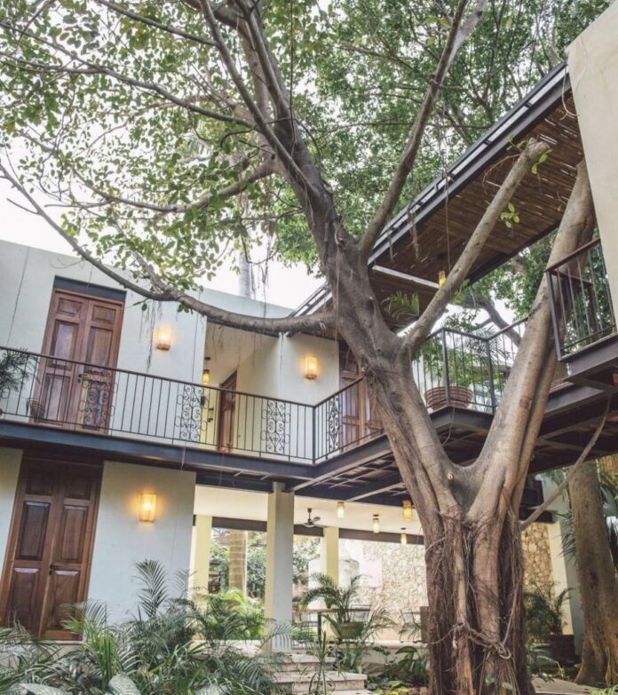 Treehouse: el hotel más romántico de Mérida, perfecto para una