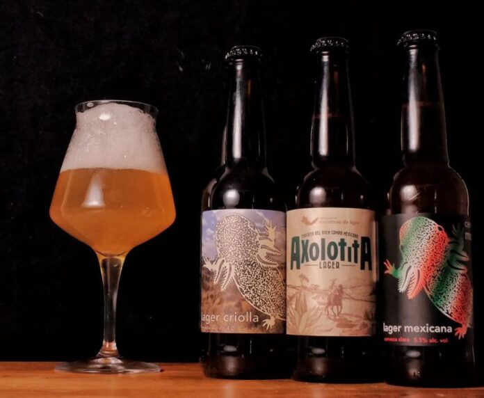 montruodeagua-cervezas-artesanales-cdmx.jpeg