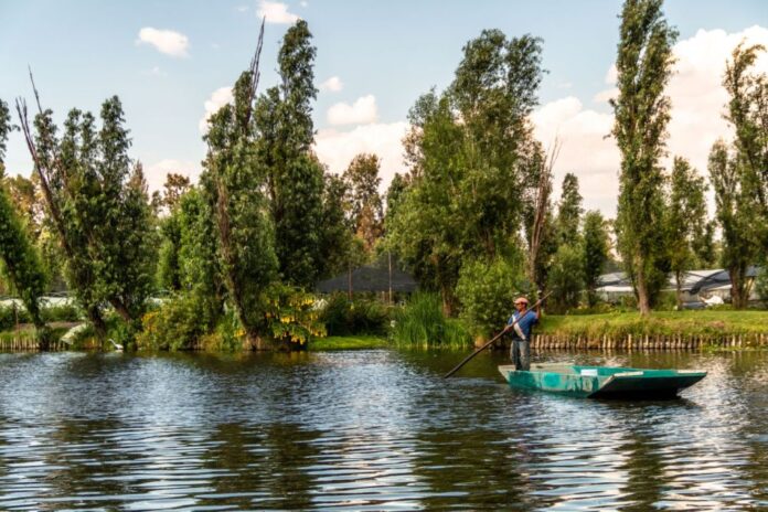 chef-michelin-xochimilco-shutterstock-1.jpg