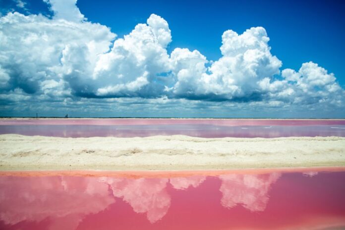 destinos-rosas-mexico-shutterstock-1.jpg