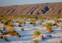 Los Estados con más Pueblos Mágicos de México