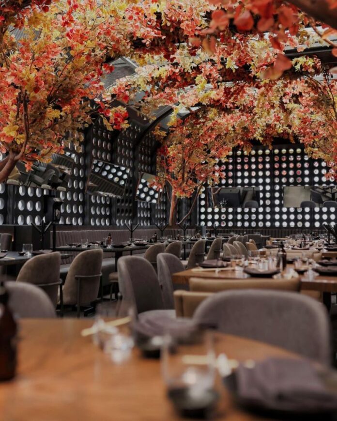 restaurantes-para-celebrar-tu-cumpleanos-cdmx-senora-tanaka.jpeg