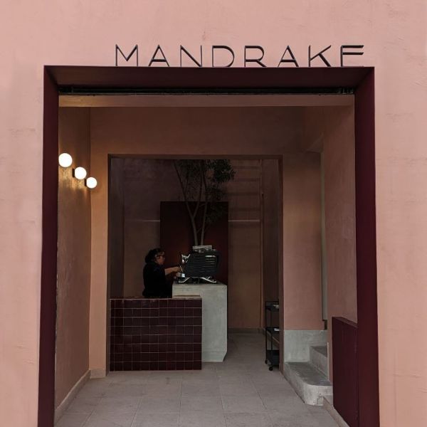 nuevos-restaurantes-cdmx-2024-cafemandrakemx.jpeg